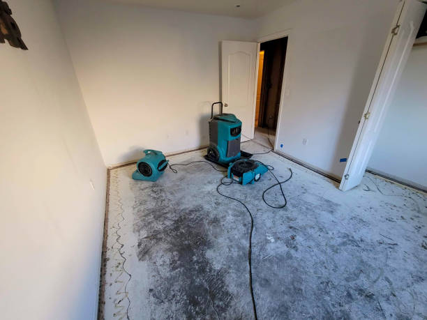 Best Water damage cleanup near me  in Morgan Hill, CA