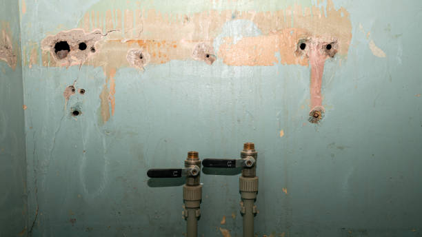 Best Mold removal after water damage  in Morgan Hill, CA