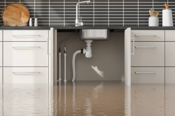 Best Water damage cleanup near me  in Morgan Hill, CA