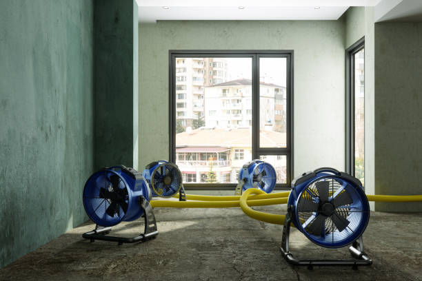 Best Professional water damage repair  in Morgan Hill, CA