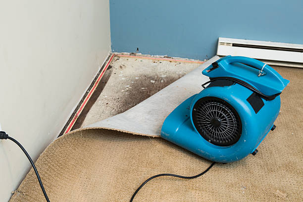 Best Flooded house restoration  in Morgan Hill, CA